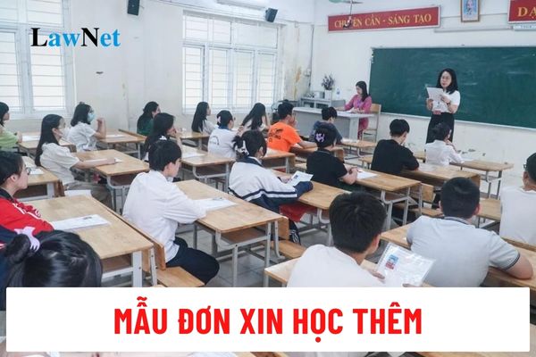 Mẫu đơn xin học thêm ở trường mới nhất 2024?