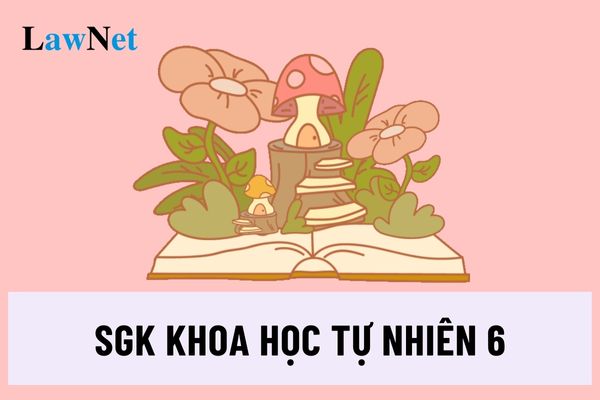 SGK khoa học tự nhiên 6 mới nhất gồm những sách nào?