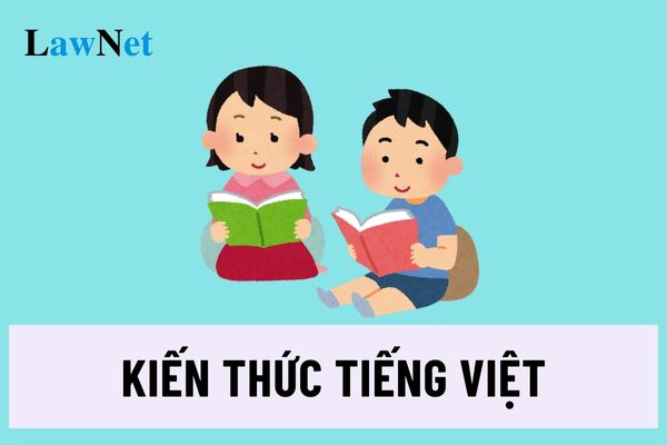 Học sinh lớp 4 có những kiến thức Tiếng Việt nào khi học môn Tiếng Việt?