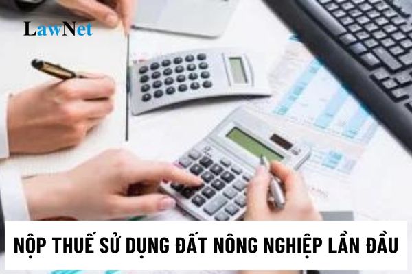 Thời hạn nộp thuế sử dụng đất nông nghiệp lần đầu là khi nào?