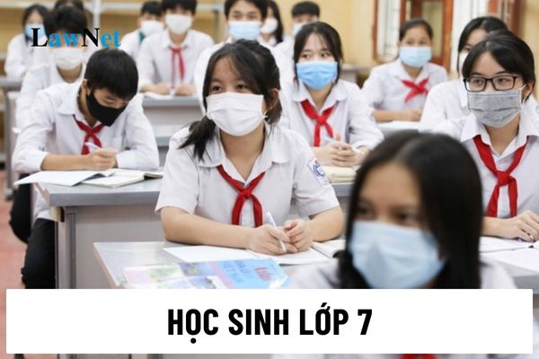 Kiến thức Tiếng Việt môn Ngữ văn của học sinh lớp 7 gồm những gì?