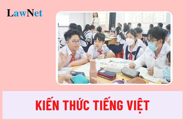 Kiến thức Tiếng Việt môn Ngữ văn của học sinh lớp 9 gồm những gì?