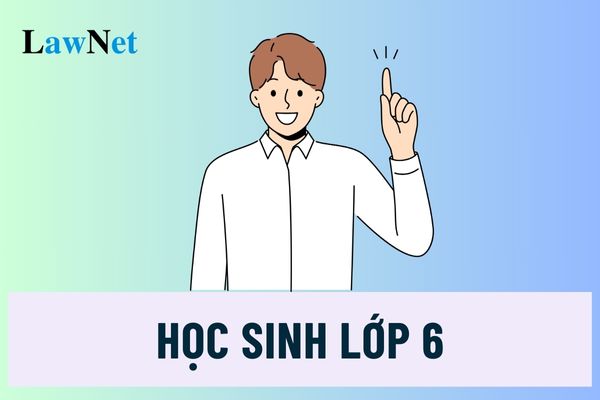 Học sinh lớp 6 có kết quả rèn luyện năm học mức Chưa đạt có phải rèn luyện hè không?