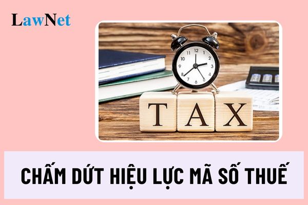 Hộ kinh doanh mua, bán, trao đổi hàng hóa tại chợ biên giới có nghĩa vụ gì trước khi chấm dứt hiệu lực mã số thuế?