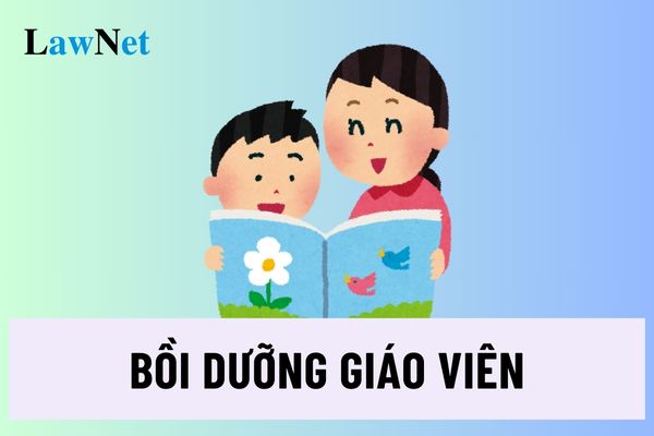 Có bao nhiêu mô đun bồi dưỡng thường xuyên dành cho giáo viên tiểu học?