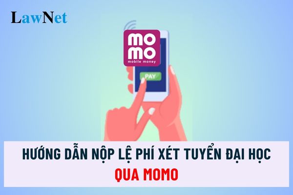 Hướng dẫn nộp lệ phí xét tuyển đại học qua Momo năm 2024?