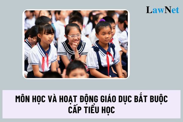 Các môn học và hoạt động giáo dục bắt buộc cấp tiểu học ra sao? Có bao nhiêu môn học và hoạt động bắt buộc cấp tiểu học?