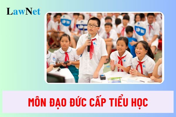 Nội dung khái quát kiến thức môn Đạo đức cấp tiểu học?