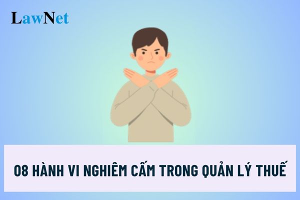 08 hành vi nghiêm cấm trong quản lý thuế là gì?