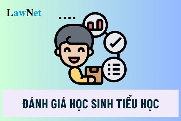 Đánh giá học sinh tiểu học ở trường, lớp dành cho người khuyết tật thế nào?