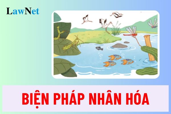 Biện pháp nhân hóa là gì? Tác dụng và một số ví dụ về biện pháp tu từ nhân hóa?