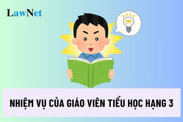 Nhiệm vụ của giáo viên tiểu học hạng 3 hiện nay là gì?