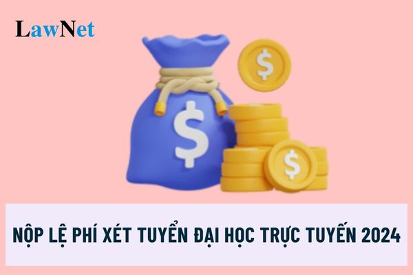 Nộp lệ phí nguyện vọng 2024 trực tuyến có các tình huống phát sinh và giải pháp gì?