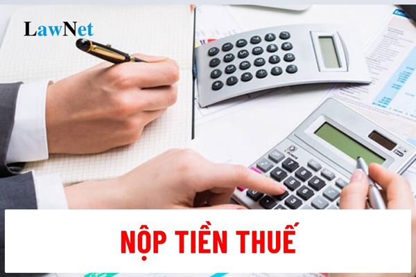 Có cần nộp tiền thuế trong thời gian giải quyết khiếu nại, khởi kiện không?