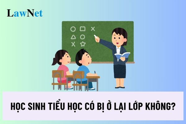 Học sinh tiểu học có bị ở lại lớp không? Học sinh tiểu học bị ở lại lớp khi nào?