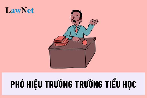 Phó hiệu trưởng trường tiểu học là ai? Nhiệm kì của phó hiệu trưởng trường tiểu học là bao lâu?