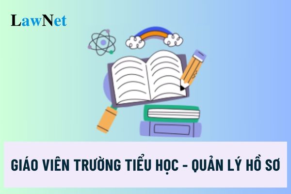 Giáo viên trường tiểu học sẽ quản lý những hồ sơ quản lý hoạt động giáo dục nào?