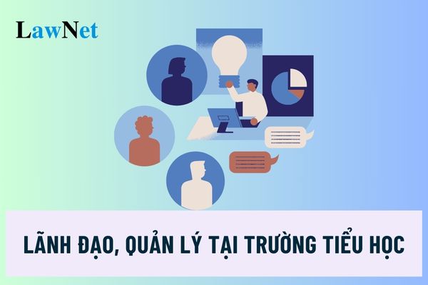 Số lượng người làm việc vị trí việc làm lãnh đạo, quản lý tại trường tiểu học ra sao?