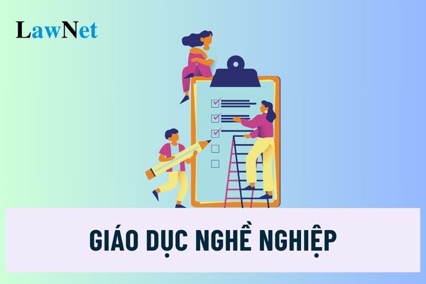 Quy mô lớp học tại cơ sở hoạt động giáo dục nghề nghiệp được quy định như thế nào? 