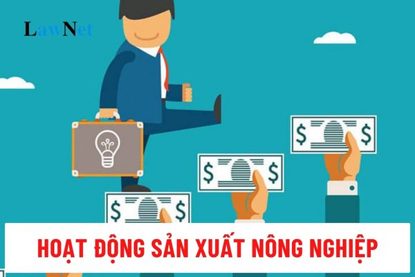 Cá nhân hoạt động sản xuất nông nghiệp được gia hạn thời gian nộp thuế thu nhập cá nhân 2024 không?