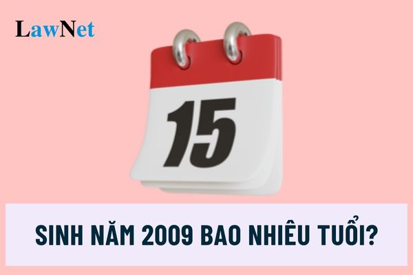 Sinh năm 2009 bao nhiêu tuổi? Sinh năm 2009 học lớp mấy năm học 2024-2025?