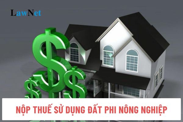 Khi nào nộp thuế sử dụng đất phi nông nghiệp lần đầu?