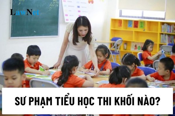 Sư phạm tiểu học trường Đại học Sư phạm thi khối nào năm 2024?