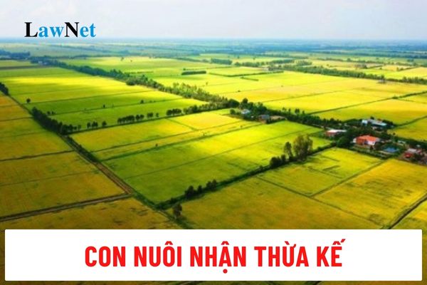 Nhận thừa kế quyền thuê đất từ cha mẹ nuôi có cần đóng thuế thu nhập cá nhân không?