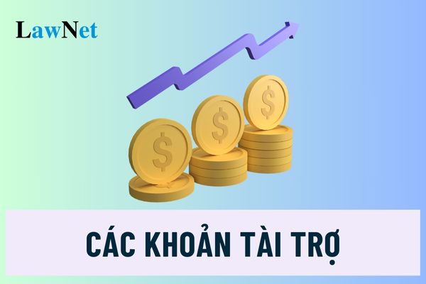 Trường tiểu học được vận động, tiếp nhận các khoản tài trợ để thực hiện cho mục đích gì?