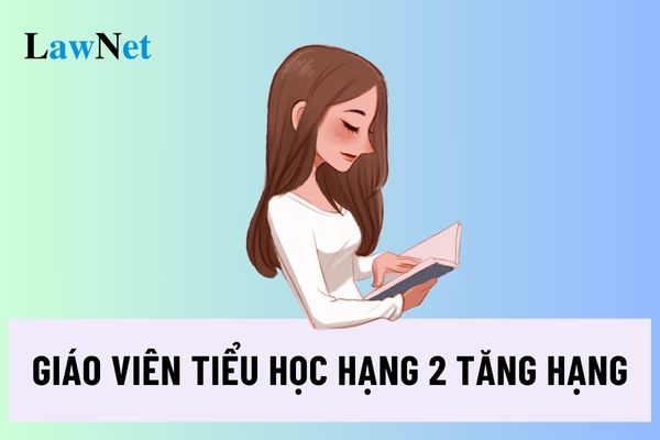 Giáo viên tiểu học hạng 2 muốn nâng lên hạng 1 cần thời gian bao lâu?