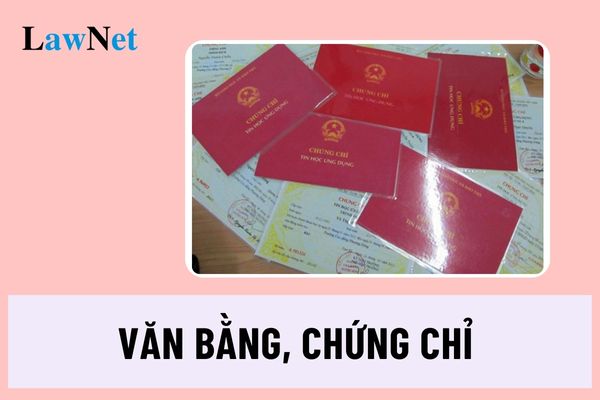 Văn bằng, chứng chỉ bị thu hồi, hủy bỏ trong trường hợp nào?