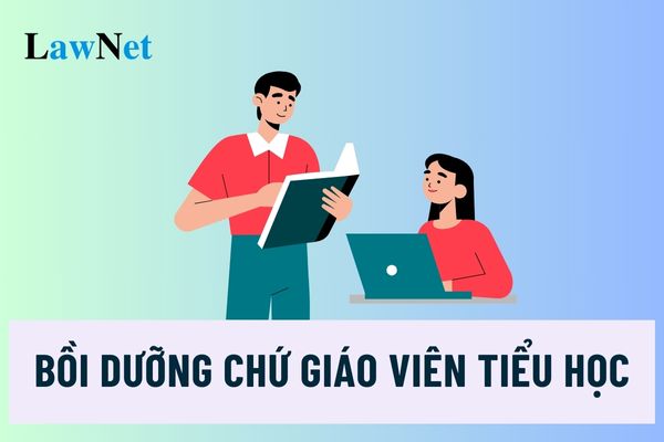 Thời gian bồi dưỡng chức danh nghề nghiệp giáo viên tiểu học ra sao?