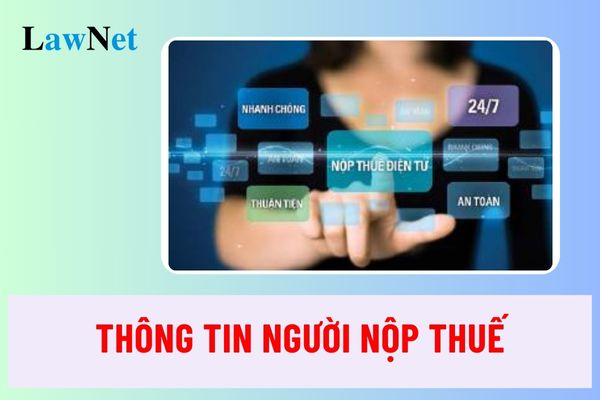 Tra cứu thông tin người nộp thuế bằng tài khoản giao dịch thuế điện tử thế nào?