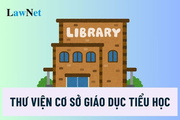 Trường tiểu học có bắt buộc phải có thư viện trường học không?