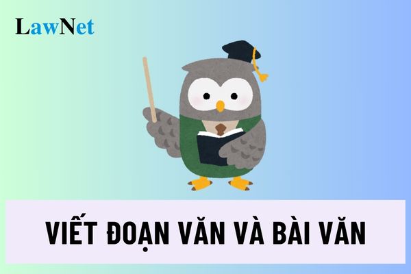 Tổ chức dạy viết đoạn và bài văn môn Ngữ văn gồm các hoạt động chủ yếu nào?