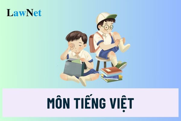 Chương trình học môn Tiếng Việt trong Chương trình Xóa mù chữ ra sao?