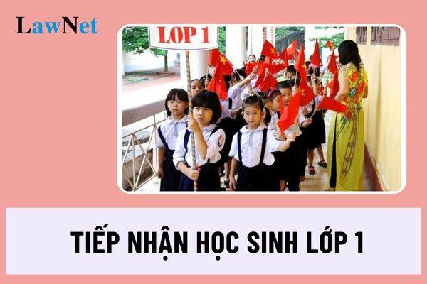 Ho Chi Minh City: How to receive first-grade students for the 2024-2025 school year?