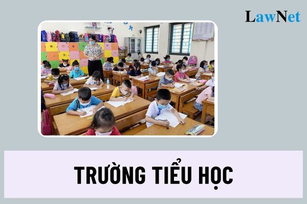 Nhiệm vụ và quyền hạn của trường tiểu học? Trường tiểu học có tư cách pháp nhân không?