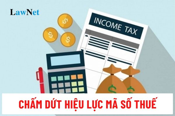 Trình tự thực hiện thủ tục chấm dứt hiệu lực mã số thuế tổ chức kinh tế, tổ chức khác trừ đơn vị phụ thuộc thế nào?