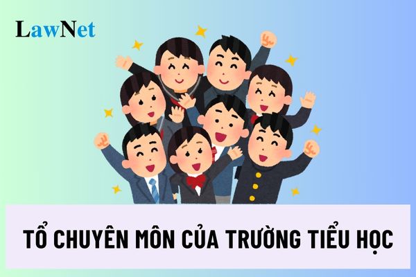 Tổ chuyên môn của trường tiểu học phải có ít nhất bao nhiêu thành viên?