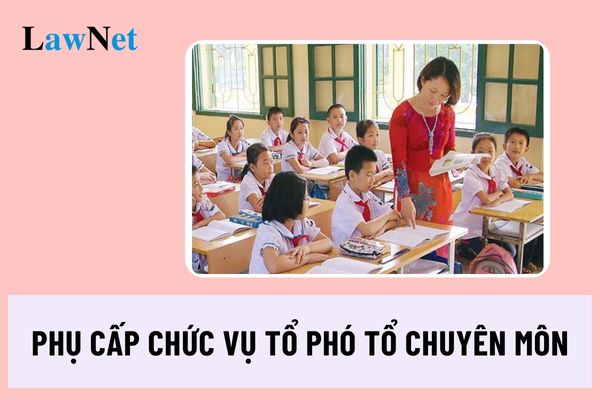 Mức phụ cấp chức vụ tổ phó tổ chuyên môn năm học 2024 2025 là bao nhiêu?