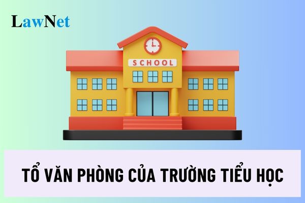 Mỗi trường tiểu học có bao nhiêu tổ văn phòng? Tổ văn phòng gồm những nhiệm vụ gì?