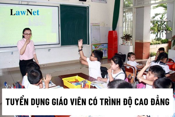 Proposal to Allow Recruitment of Teachers with College Degrees, What is the Conclusion of the Deputy Prime Minister of the Government of Vietnam?