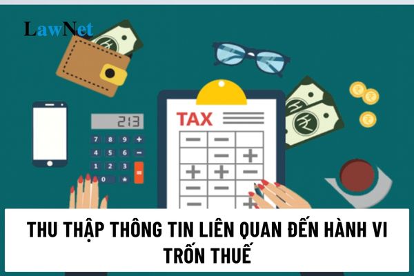 Thu thập thông tin liên quan đến hành vi trốn thuế như thế nào?