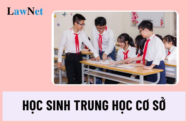 Học sinh trung học cơ sở cần đặt những yêu cầu gì về năng lực chung?