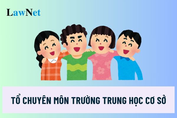 Tổ chuyên môn ở trường trung học cơ sở có tổ phó khi nào?