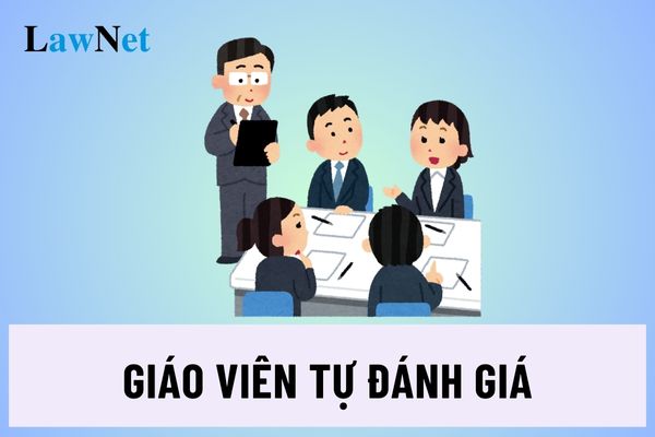 Giáo viên tự đánh giá theo chu kỳ bao nhiêu lần trong năm?