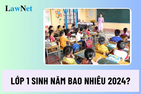 Lớp 1 sinh năm bao nhiêu 2024? Độ tuổi của học sinh lớp 1 năm học 2024 2025?