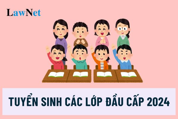 Hoàn thành tuyển sinh các lớp đầu cấp trước 31/7/2024 đúng không?