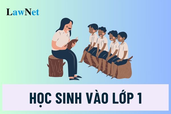 Học sinh vào lớp 1 các trường tiểu học công lập có được miễn học phí không?